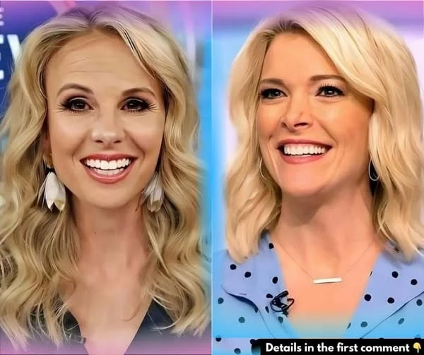 Elisabeth Hasselbeck And Megyn Kelly Selected For Daytime Show To Rival ‘The View’.