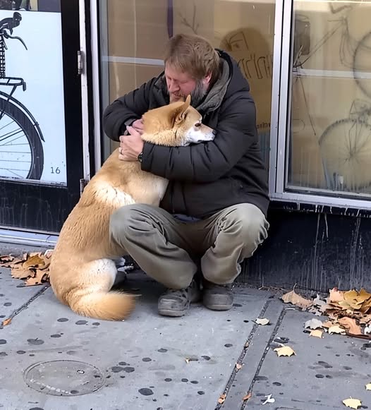 Every Day, A Dog Visits A Closed Store, And A Poor Boy Follows The Dog And Finds Out The Truth—Today’s Story