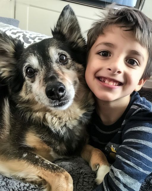 A Rescue Dog Came Home with Us, The Next Night, My 8 Year Old Son Disappeared