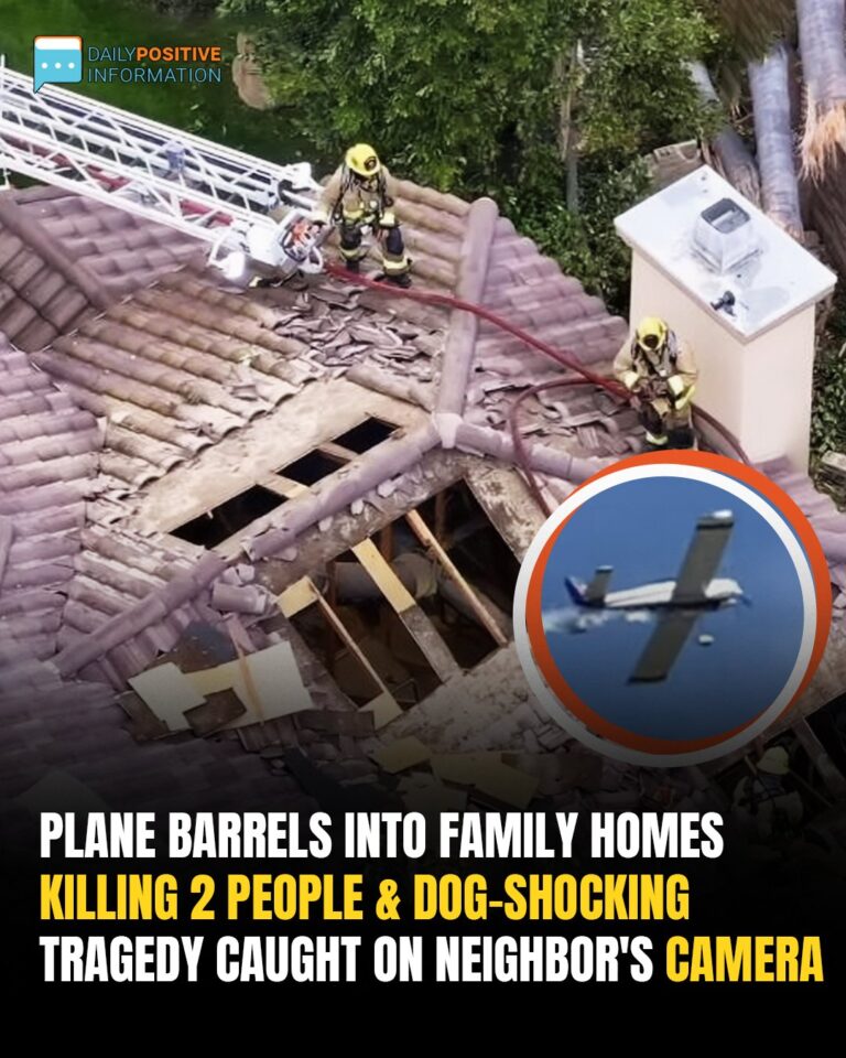 Tragedy In Simi Valley: Two People And Dog Killed In Small Plane Crash